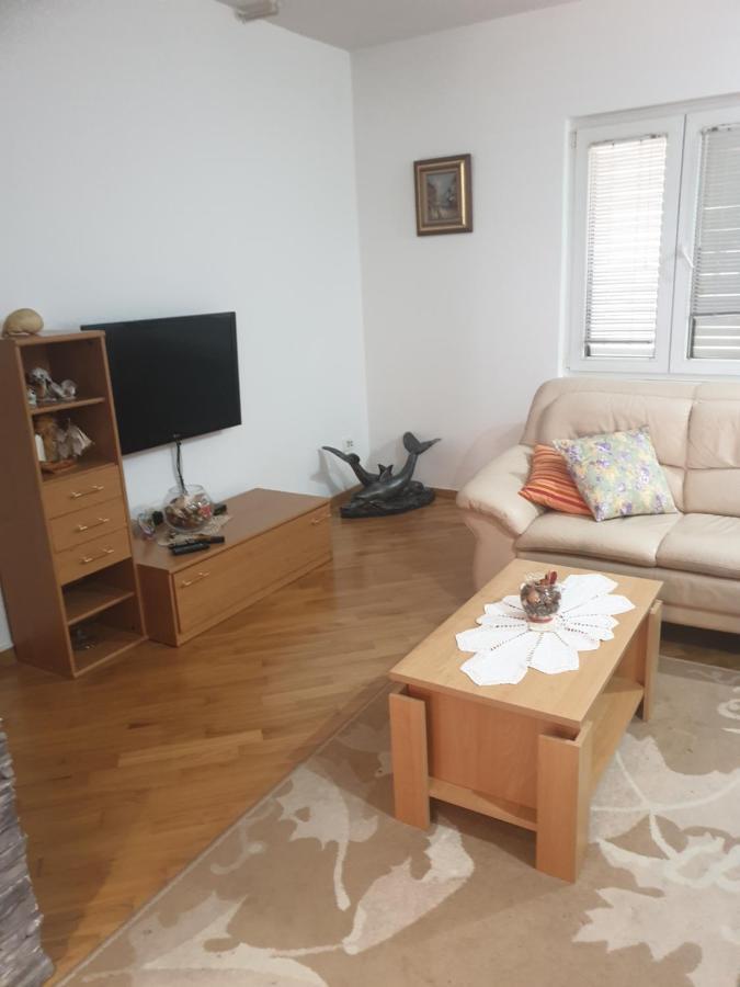 Rosa * Zadar